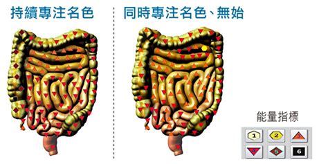 腸胃 脈輪